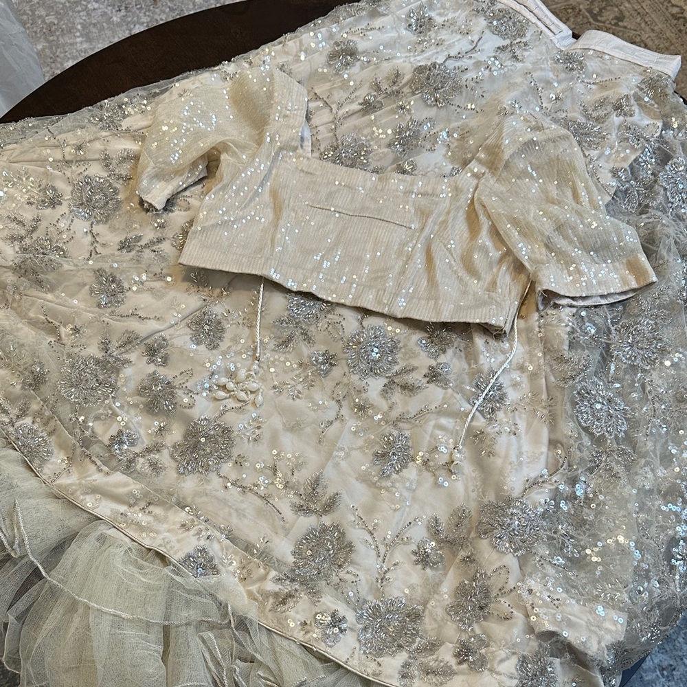 Elegant Cream and Silver Embellished Dress